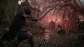 Thumbnail preview of Lords Of The Fallen (PS5)