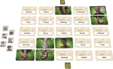 Thumbnail preview of Codenames: Duet