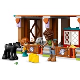 Thumbnail preview of LEGO 42617