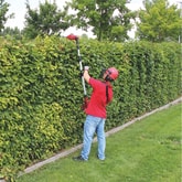 Thumbnail preview of Einhell GE-HC 18 Li T Solo Cordless Pole Pruner and Hedge Trimmer Body Only