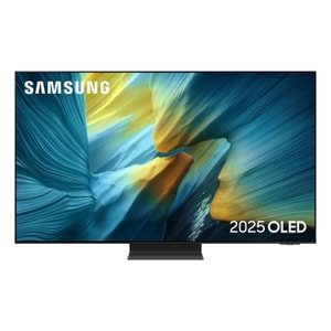 Samsung QE65S95FATXXU